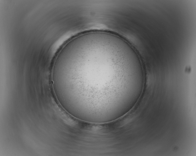X0000112921326200909080925