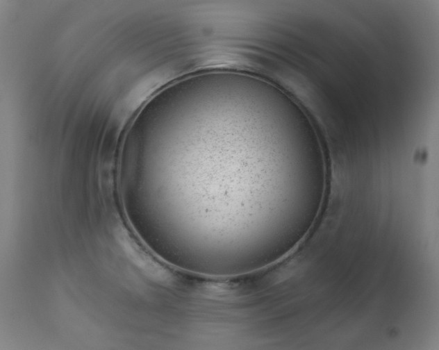 X0000112921330200909080925