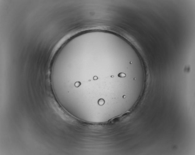 X0000112921332200909080925