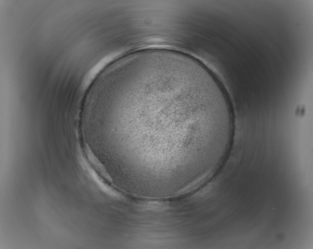 X0000112921333200909080925