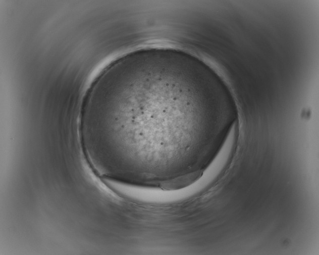 X0000112921334200909080925