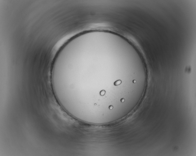 X0000112921336200909080925