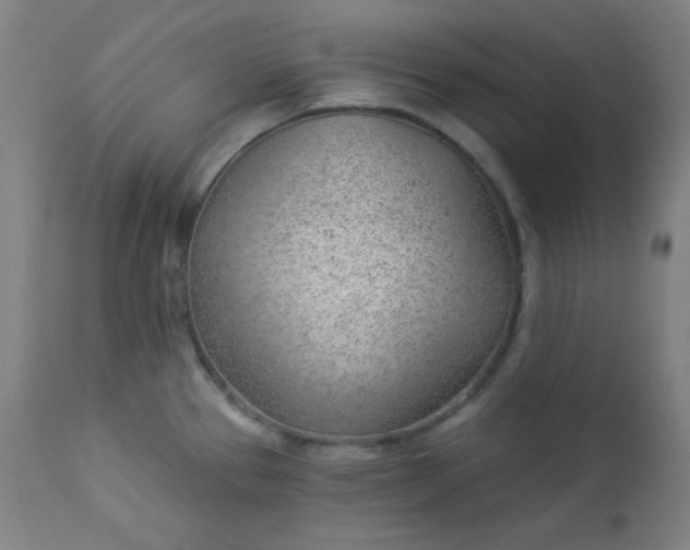 X0000112921337200909080925
