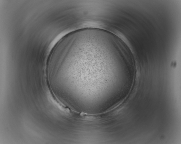 X0000112921339200909080925