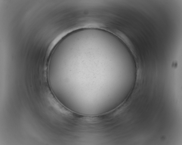 X0000112921340200909080925