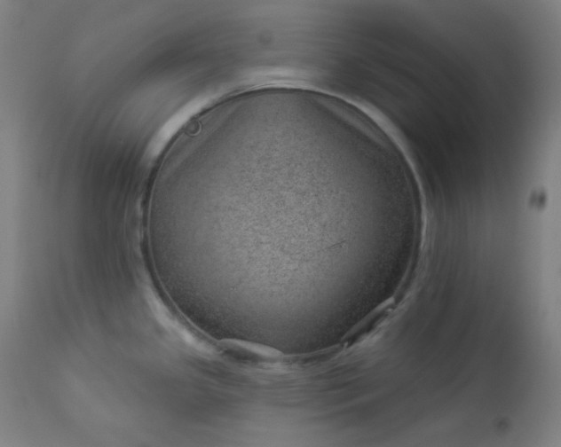 X0000112921341200909080925