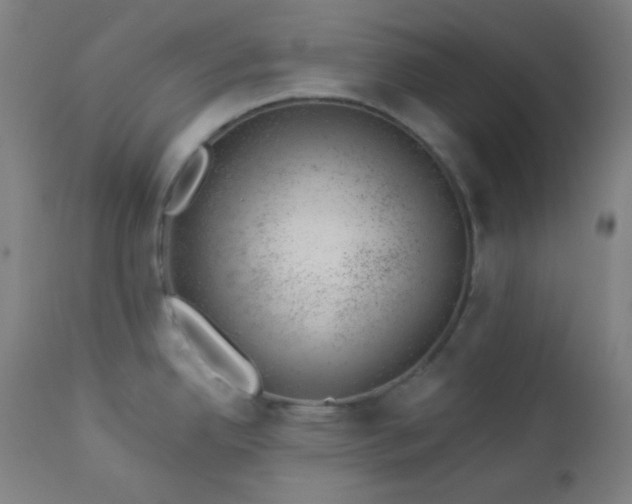 X0000112921342200909080925