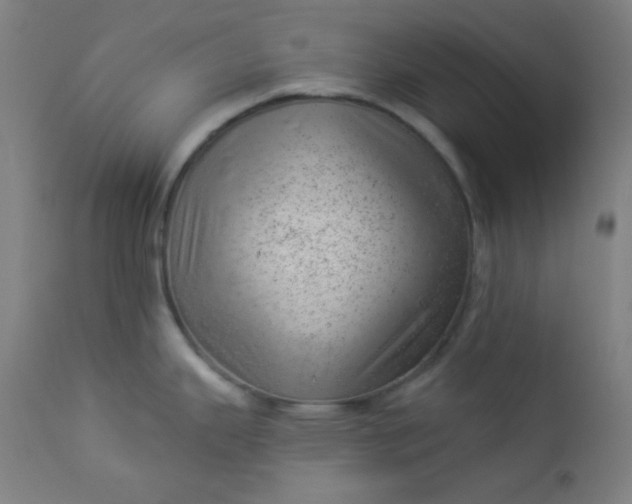 X0000112921343200909080925
