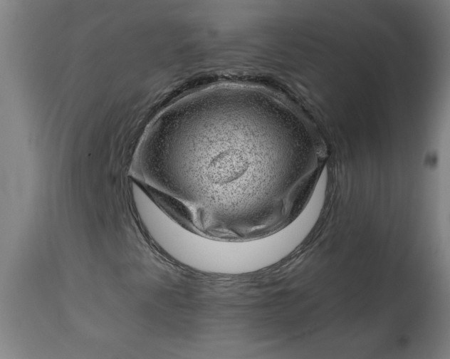 X0000112921345200909080924