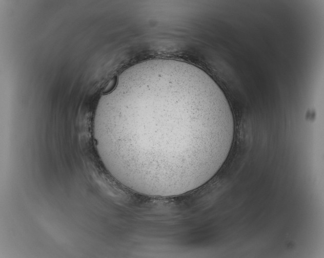 X0000112921346200909080924