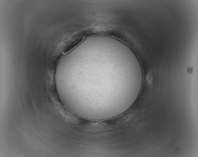 X0000112921348200909080924