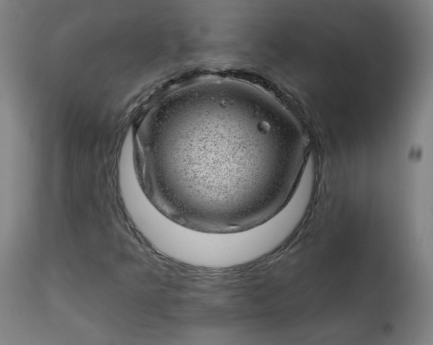 X0000112921349200909080924