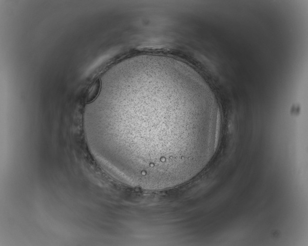 X0000112921350200909080924