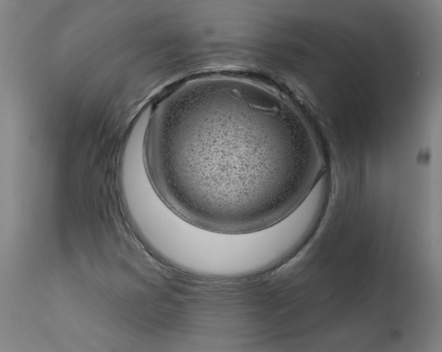 X0000112921353200909080924