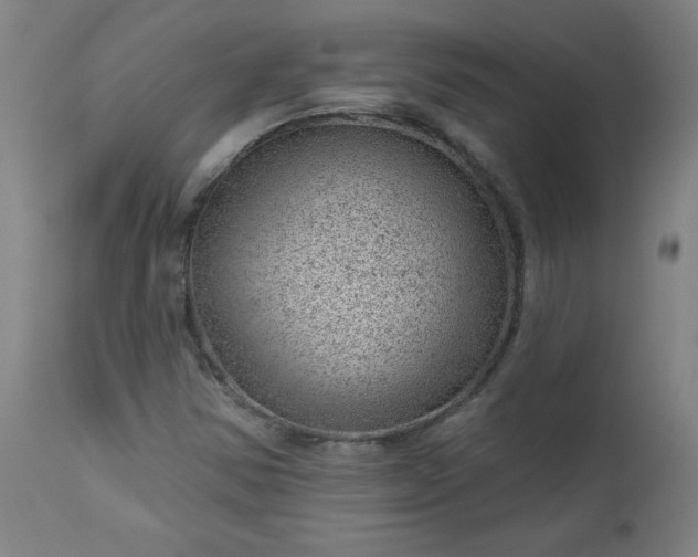 X0000112921354200909080924