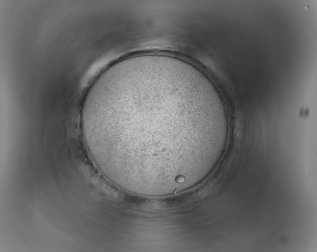 X0000112921358200909080924
