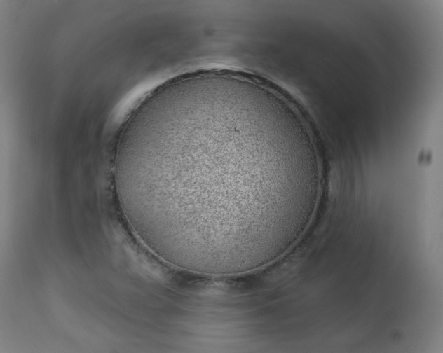 X0000112921359200909080924