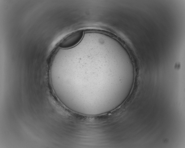 X0000112921360200909080924