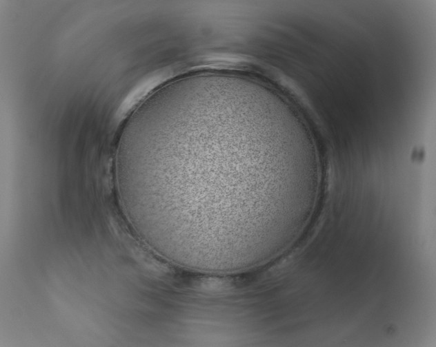 X0000112921362200909080924