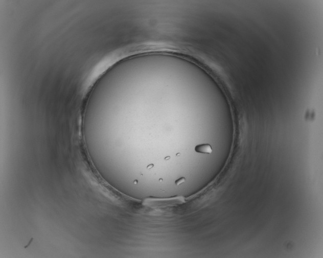 X0000112921365200909080924