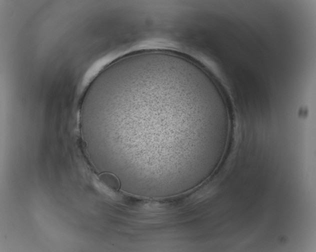 X0000112921366200909080924