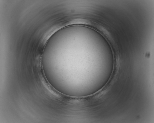 X0000112921369200909080924