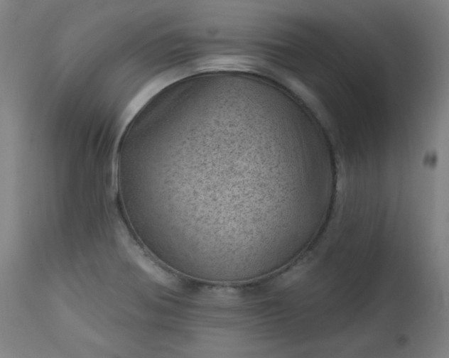 X0000112921370200909080924