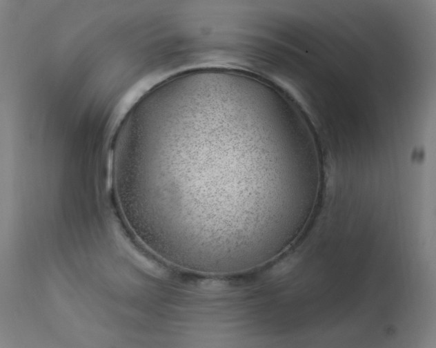 X0000112921371200909080924