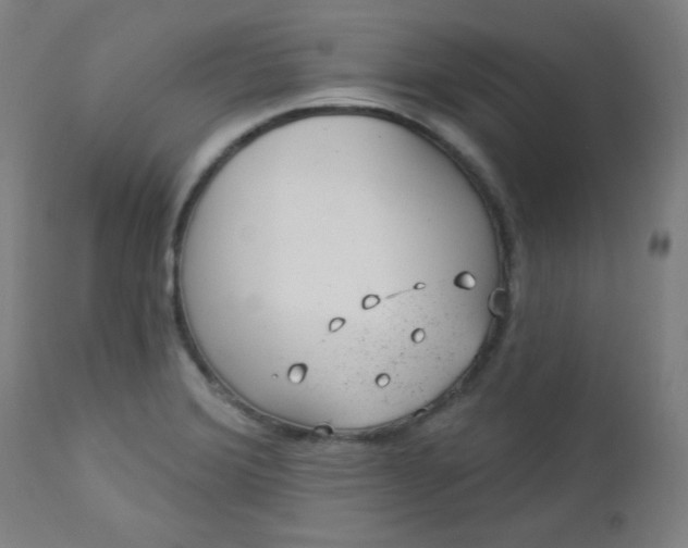 X0000112921372200909080924