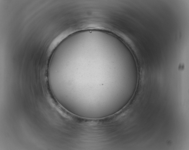 X0000112921373200909080924