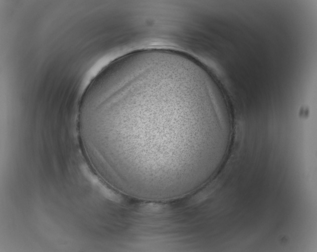 X0000112921374200909080924