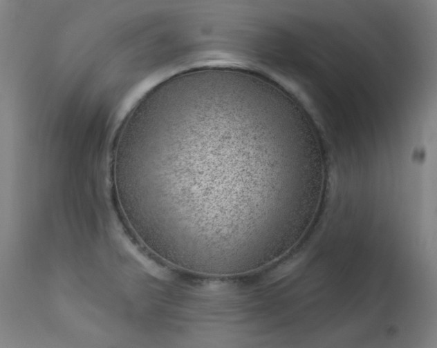 X0000112921375200909080924