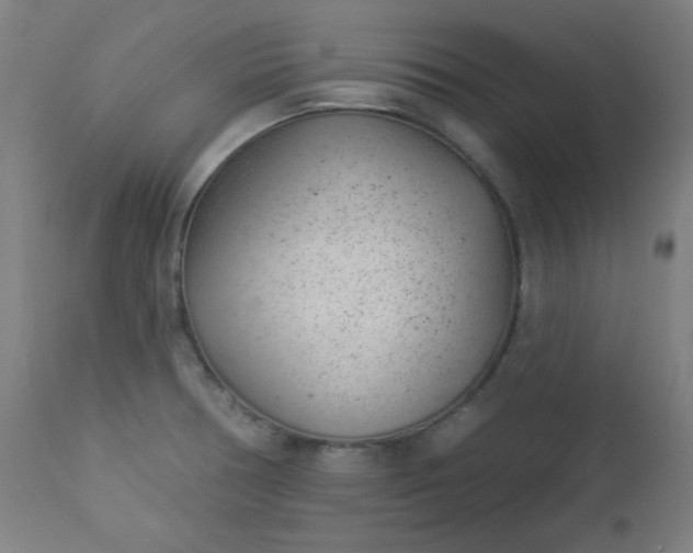 X0000112921378200909080924