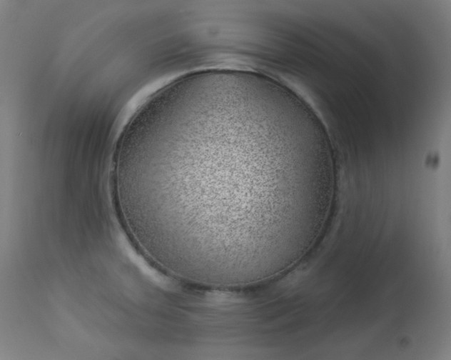 X0000112921379200909080924