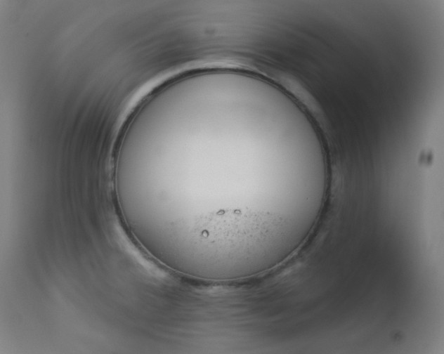 X0000112921380200909080924