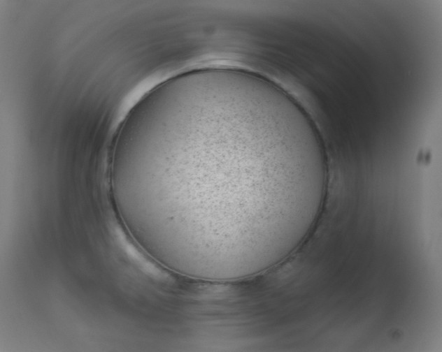 X0000112921382200909080924