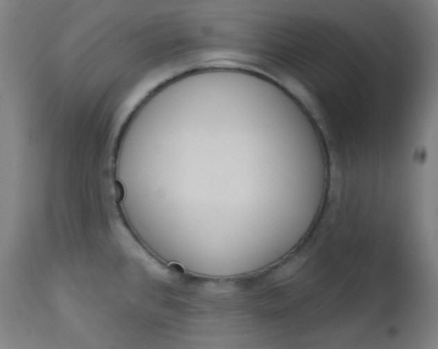X0000112921384200909080924