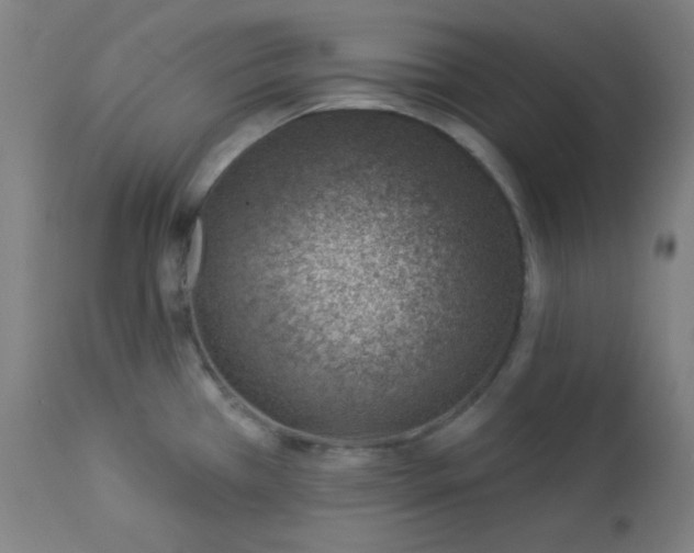 X0000112921385200909080924