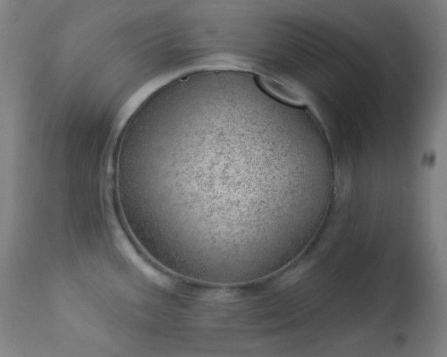X0000112921387200909080924