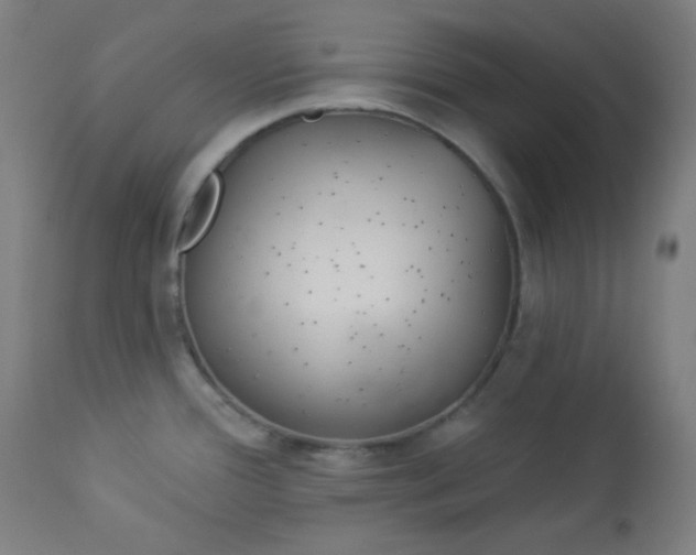 X0000112921388200909080924
