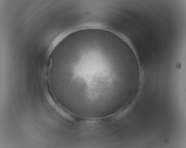 X0000112921389200909080924