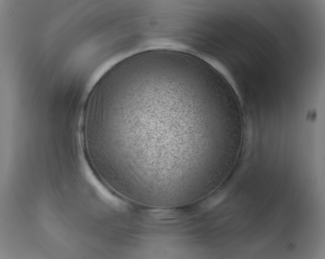 X0000112921391200909080924