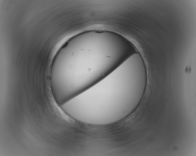 X0000112921392200909080924