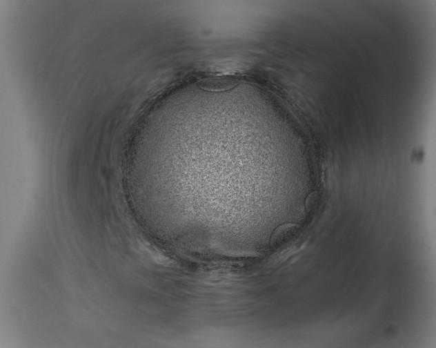 X0000112921393200909080923