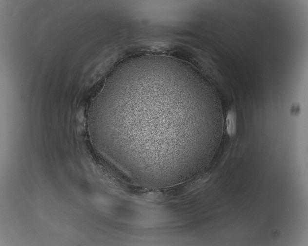 X0000112921395200909080923