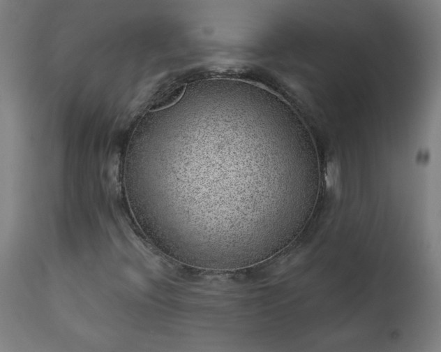 X0000112921396200909080923