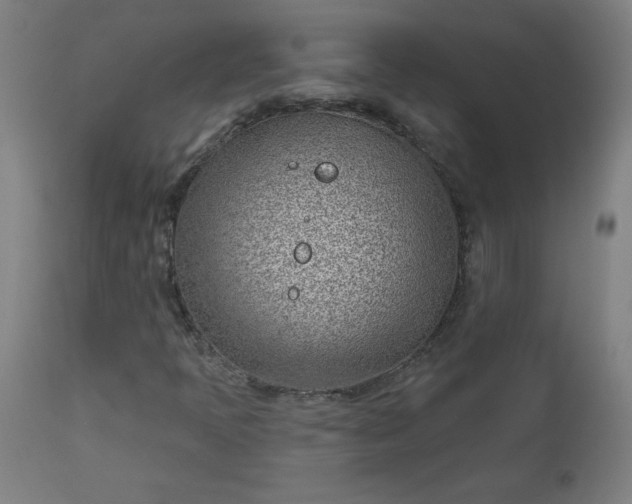 X0000112921397200909080923