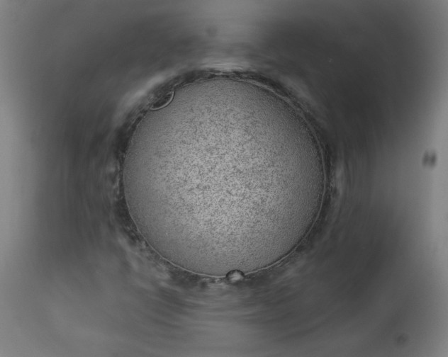 X0000112921398200909080923