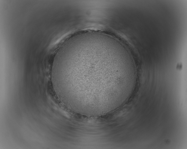X0000112921399200909080923