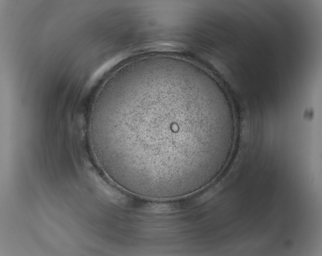 X0000112921402200909080923